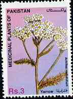 Pakistan 1996 Medicinal Plants 3R Yarrow (Achillea mellofolium) unmounted mint SG 1010, stamps on medical    flowers, stamps on medicinal plants