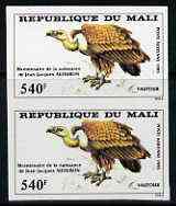 Mali 1985 John Audubon 540f Griffon unmounted mint IMPERF pair from limited printing (as SG 1076), stamps on birds       griffon    birds of prey    audubon