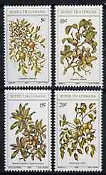 Bophuthatswana 1980 Edible Wild Fruits set of 4 unmounted mint, SG 56-59, stamps on fruits, stamps on food