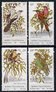 Bophuthatswana 1980 Birds set of 4 unmounted mint, SG 60-63, stamps on birds, stamps on parrots, stamps on bee-eater, stamps on 
