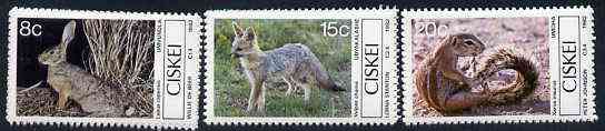 Ciskei 1982 Small Mammals set of 4 unmounted mint, SG 30-33*, stamps on animals, stamps on mammals, stamps on hare, stamps on fox, stamps on squirrel, stamps on caracal, stamps on dogs, stamps on  fox , stamps on foxes, stamps on  