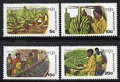 Venda 1980 Banana Cultivation set of 4 unmounted mint, SG 30-33, stamps on fruit    bananas    agriculture    food