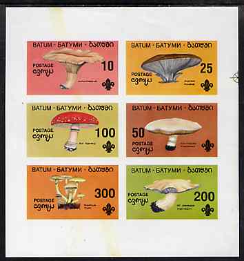 Batum 1994 Fungi imperf set of 6 (showing Scout emblem) unmounted mint, stamps on fungi  scouts