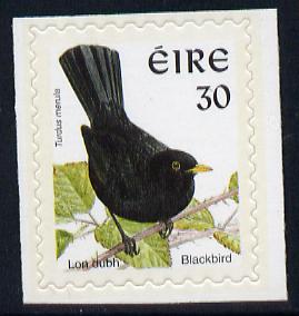 Ireland 1997-2000 Birds - Blackbird 30p self adhesive Perf 9x10 with phosphor frame unmounted mint SG 1087p, stamps on birds, stamps on blackbird, stamps on self adhesive