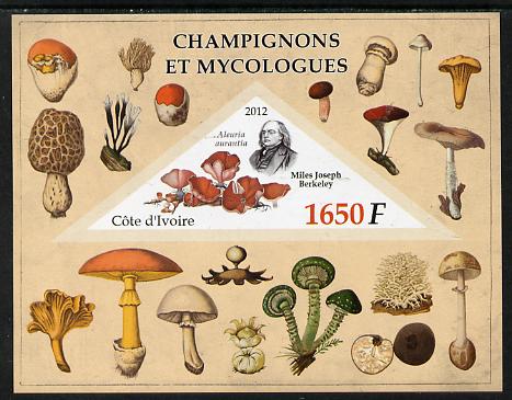Ivory Coast 2012 Fungi & Mycologists imperf m/sheet containing 1 triangular value unmounted mint, stamps on , stamps on  stamps on fungi, stamps on  stamps on 