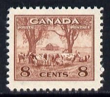 Canada 1942-48 KG6 War Effort 8c Cattle unmounted mint SG 382, stamps on agriculture  animals  food, stamps on  kg6 , stamps on  ww2 , stamps on 