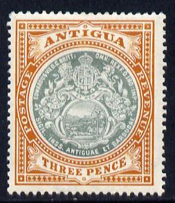 Antigua 1908-17 MCA Badge 3d grey-green & orange-brown mounted mint SG 47, stamps on , stamps on  kg5 , stamps on badge, stamps on 