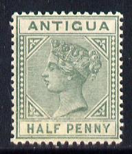Antigua 1882 QV Crown CA 1/2d green mounted mint SG 21, stamps on , stamps on  stamps on , stamps on  stamps on  qv , stamps on  stamps on 