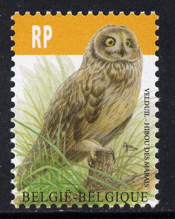 Belgium 2010-14 Birds - Short-Eared Owl 4.35 Euro unmounted mint , stamps on birds, stamps on owls, stamps on birds of prey