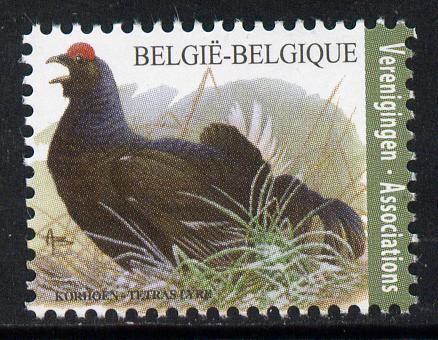 Belgium 2010-14 Birds - Black Grouse 0.40 Euro unmounted mint , stamps on birds, stamps on fowl, stamps on game
