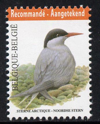 Belgium 2010-14 Birds - Arctic Tern 5.03 Euro unmounted mint , stamps on birds, stamps on terns