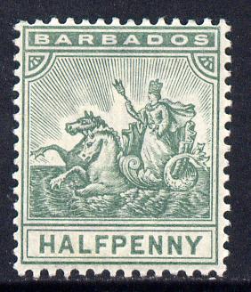 Barbados 1892-1903 Britannia Crown CA 1/2d dull green mounted mint SG 106, stamps on britannia