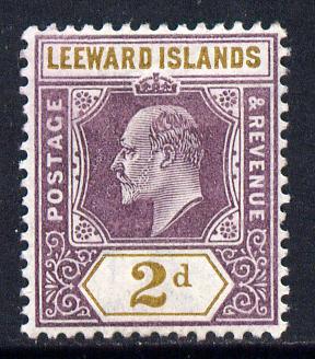Leeward Islands 1902 KE7 Crown CA 2d dull purple & ochre mounted mint SG 22, stamps on , stamps on  stamps on , stamps on  stamps on  ke7 , stamps on  stamps on 