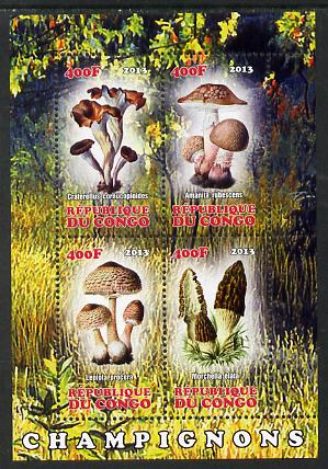 Congo 2013 Fungi #2 perf sheetlet containing four values unmounted mint, stamps on fungi