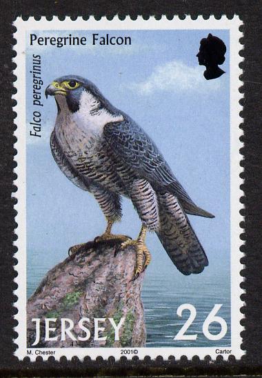 Jersey 2001 Birds of Prey - Peregrine Falcon 26p unmounted mint, SG 1000, stamps on birds, stamps on birds of prey, stamps on falcons