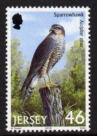 Jersey 2001 Birds of Prey - Northern Sparrow Hawk 46p unmounted mint, SG 1003, stamps on birds, stamps on birds of prey, stamps on 