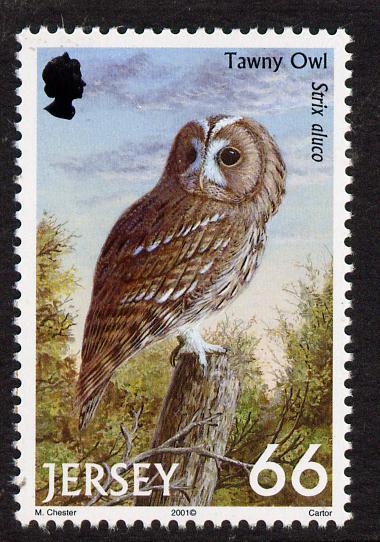 Jersey 2001 Birds of Prey - Tawny Owl 66p unmounted mint, SG 1004, stamps on , stamps on  stamps on birds, stamps on  stamps on birds of prey, stamps on  stamps on owls