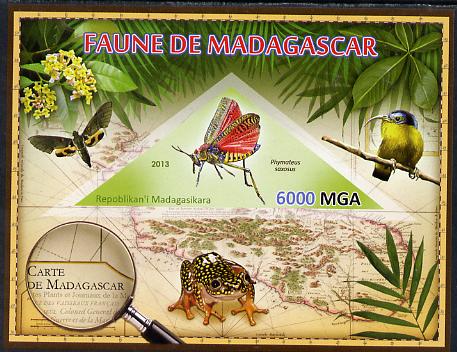 Madagascar 2013 Fauna - Phymateus Grasshopper imperf sheetlet containing one triangular value unmounted mint, stamps on triangulars, stamps on maps, stamps on animals, stamps on insects, stamps on birds, stamps on frogs, stamps on butterflies