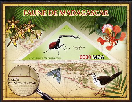Madagascar 2013 Fauna - Giraffe Weevil imperf sheetlet containing one triangular value unmounted mint, stamps on triangulars, stamps on maps, stamps on animals, stamps on insects, stamps on birds, stamps on flowers