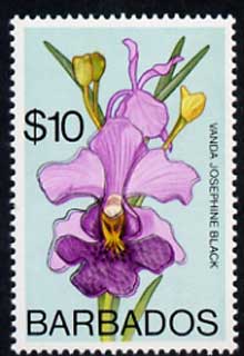 Barbados 1975-79 Josephine Black Orchid $10 with double outline due to slight colour shift unmounted mint, SG 524var, stamps on , stamps on  stamps on flowers  orchids