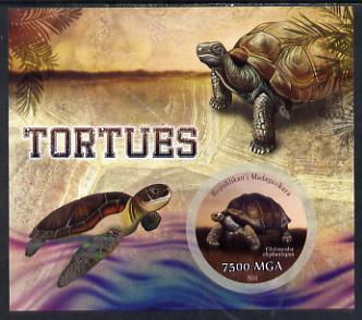 Madagascar 2014 Turtles imperf m/sheet containing one circular value unmounted mint, stamps on animals, stamps on reptiles, stamps on turtles, stamps on circular, stamps on shaped