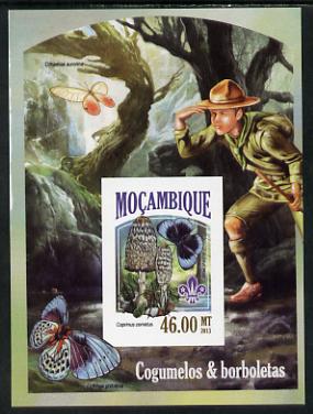Mozambique 2013 Scouting & Butterflies #8 imperf deluxe sheet unmounted mint. Note this item is privately produced and is offered purely on its thematic appeal, stamps on butterflies, stamps on scouts