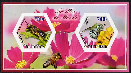 Chad 2014 Bees #3 imperf sheetlet containing two hexagonal-shaped values unmounted mint , stamps on shaped, stamps on hexagon, stamps on hexagonal, stamps on bees