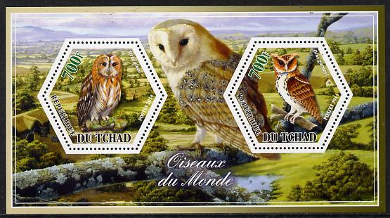 Chad 2014 Owls #1 perf sheetlet containing two hexagonal-shaped values unmounted mint , stamps on shaped, stamps on hexagon, stamps on hexagonal, stamps on birds.birds of prey, stamps on owls