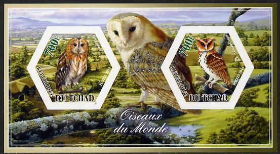 Chad 2014 Owls #1 imperf sheetlet containing two hexagonal-shaped values unmounted mint , stamps on shaped, stamps on hexagon, stamps on hexagonal, stamps on birds.birds of prey, stamps on owls