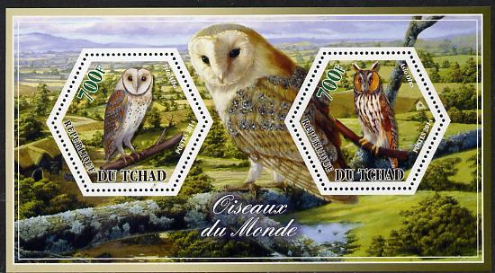Chad 2014 Owls #3 perf sheetlet containing two hexagonal-shaped values unmounted mint , stamps on shaped, stamps on hexagon, stamps on hexagonal, stamps on birds.birds of prey, stamps on owls