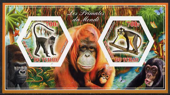 Chad 2014 Primates of the World #1 imperf sheetlet containing two hexagonal-shaped values unmounted mint , stamps on shaped, stamps on hexagon, stamps on hexagonal, stamps on animals, stamps on apes, stamps on primates, stamps on 
