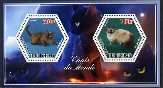 Chad 2014 Cats #3 perf sheetlet containing two hexagonal-shaped values unmounted mint , stamps on shaped, stamps on hexagon, stamps on hexagonal, stamps on cats
