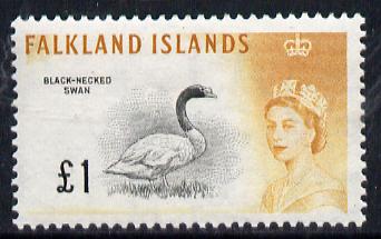 Falkland Islands 1960-66,Birds Â£1 Black-necked Swan unmounted mint SG 207, stamps on birds