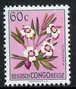 Belgian Congo 1952 Flowers 60c Euphorbia unmounted mint SG 302*, stamps on , stamps on  stamps on flowers