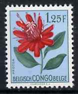 Belgian Congo 1952 Flowers 1f25 Protea unmounted mint SG 305*, stamps on flowers