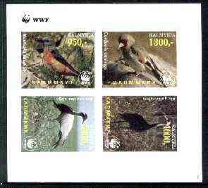 Kalmikia Republic 1997 WWF - Birds imperf sheetlet containing complete set of 4 unmounted mint, stamps on wwf    birds, stamps on  wwf , stamps on 