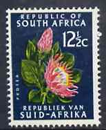 South Africa 1969 Protea 12.5c (Redrawn with phosphor bands) unmounted mint, SG 294, stamps on flowers, stamps on proteas