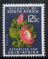 South Africa 1964 Protea 12.5c black-green (Redrawn & wmk'd) unmounted mint, SG 247*, stamps on flowers, stamps on proteas