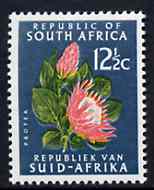 South Africa 1964 Protea 12.5c blue-green (Redrawn & wmk'd) unmounted mint, SG 247a*, stamps on flowers, stamps on proteas