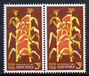 South Africa 1966 Maize Plants 3c se-tenant pair (from 5th Anniversary set) unmounted mint, SG 264, stamps on agriculture, stamps on maize, stamps on crops, stamps on farming, stamps on food