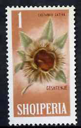 Albania 1965 Winter Fruits 1L Chestnut unmounted mint, Mi 912, stamps on fruit    nuts