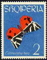 Albania 1963 Euplagia quadripunctaria 2L from Butterflies & Moths set unmounted mint, Mi 774, stamps on butterflies