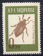 Albania 1963 Polyphylla fullo 0L50 from Insects set unmounted mint, Mi 735, stamps on insects