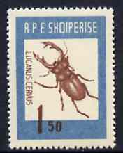 Albania 1963 Lucanus cervus 1L50 from Insects set unmounted mint, Mi 736, stamps on insects