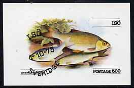 Iso - Sweden 1973 (Rudd) imperf souvenir sheet (500 value) cto used, stamps on fish, stamps on  iso , stamps on 