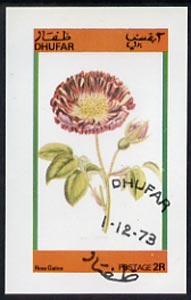 Dhufar 1973 Flowers (Rosa Galica) imperf souvenir sheet (2R value) cto used, stamps on flowers       roses