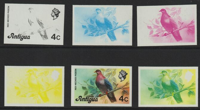 Antigua 1976 Red-necked pigeon 4c (without imprint) set of 6 imperf progressive colour proofs comprising the 4 basic colours, blue & yellow composite plus all 4 colours (..., stamps on birds, stamps on pigeons