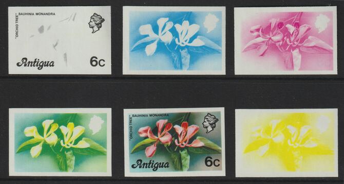 Antigua 1976 Orchid Tree 6c (without imprint) set of 6 imperf progressive colour proofs comprising the 4 basic colours, blue & yellow composite plus all 4 colours unmounted mint (as SG 475A), stamps on orchids  trees