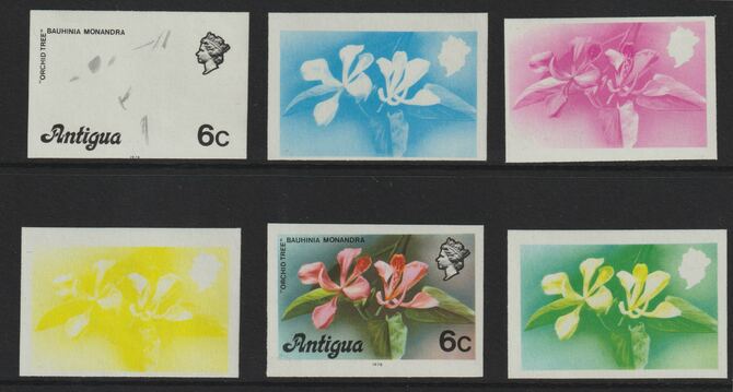 Antigua 1976 Orchid Tree 6c (with imprint) set of 6 imperf progressive colour proofs comprising the 4 basic colours, blue & yellow composite plus all 4 colours (as SG 475..., stamps on orchids  trees