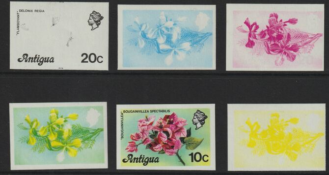 Antigua 1976 Flamboyant 20c (with imprint) set of 6 imperf progressive colour proofs comprising the 4 basic colours, blue & yellow composite plus all 4 colours (as SG 478..., stamps on flowers, stamps on trees, stamps on 